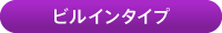 ビルインタイプ