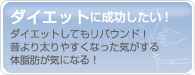 �_�C�G�b�g�ɐ����������I