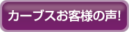 �J�[�u�X���q�l�̐�