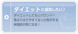 �_�C�G�b�g�ɐ����������I