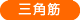 �O�p��