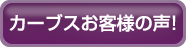 �J�[�u�X���q�l�̐��I