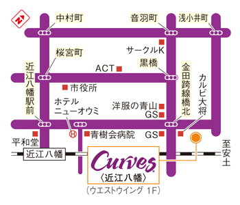 Curves�ߍ]����