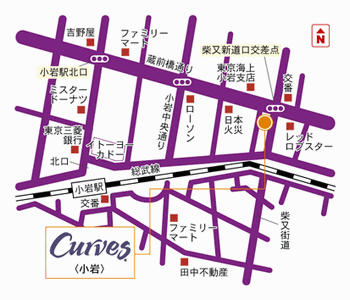 Curves����