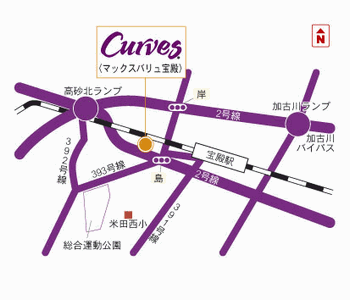 Curves�}�b�N�X�o������a