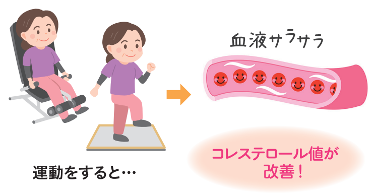 運動で善玉コレステロールを増やす! コレステロール値を改善するには、食事だけでなく運動をすることが大切です。とくに善玉(HDL)コレステロールは、運動(有酸素運動や筋トレ)で増やせることがわかっています。