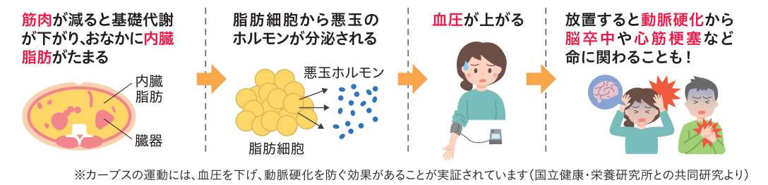 運動で血圧を下げる! 血圧を上げる原因のひとつは、おなかにたまった内臓脂肪。これは、運動で燃やすことができます。また睡眠不足も高血圧の原因ですが、適度な運動は睡眠の質も高めてくれます。