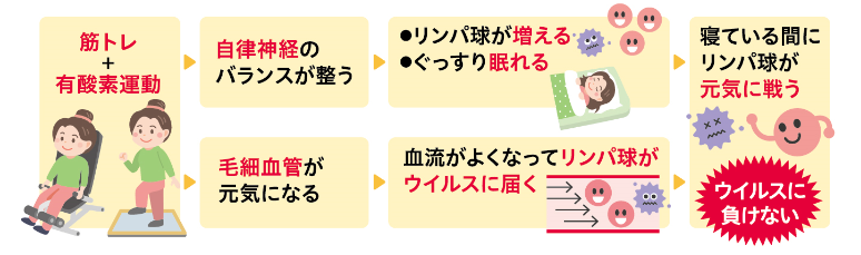 運動で免疫力アップ！ 新型コロナのようなウイルスと戦う免疫は「リンパ球」という白血球。リンパ球はとくに夜の睡眠中に、体内に入り込んだウイルスと戦っています。