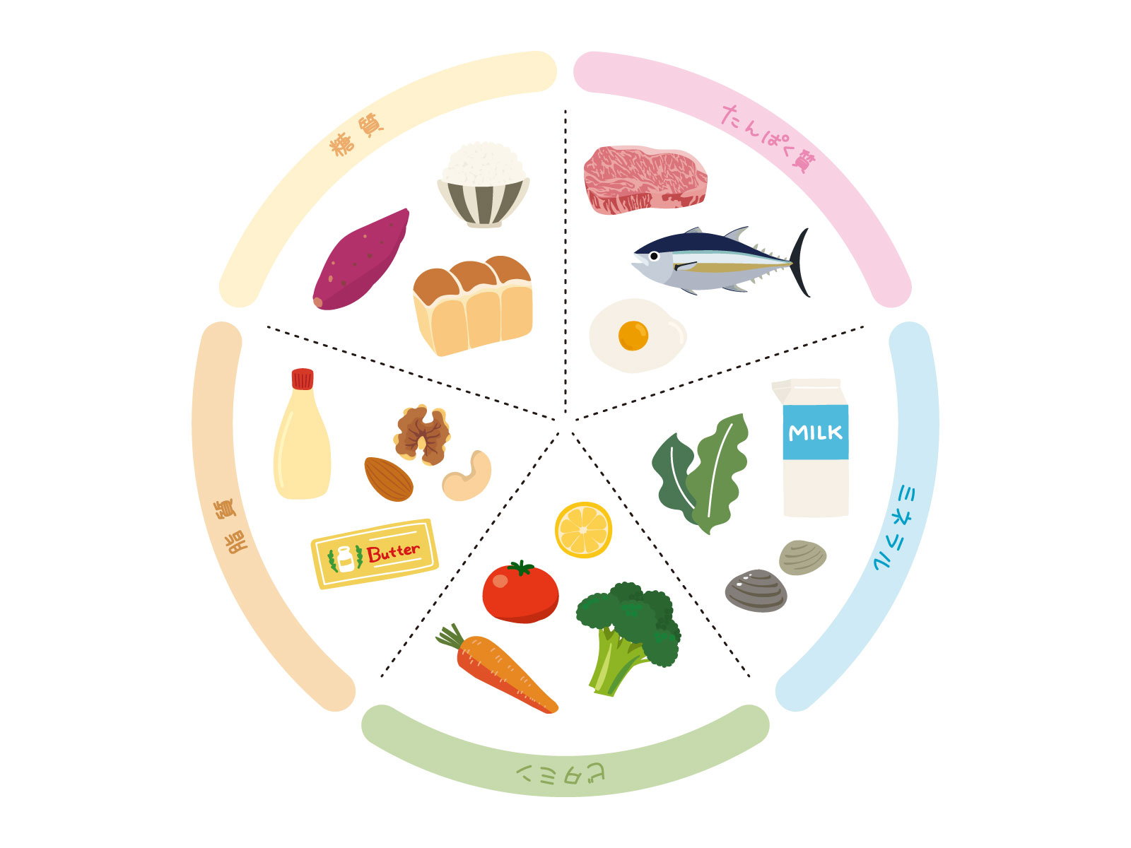 栄養素（肉や魚卵などに多く含まれるたんぱく質・糖質や食物繊維などの炭水化物・ビタミン）五大栄養素