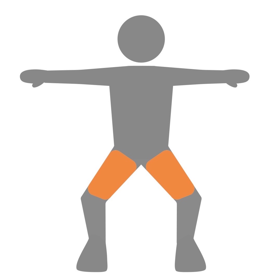 スクワットの姿勢と、ターゲット筋肉のイメージ（下半身を鍛える代表的なメニュー。 お尻から太ももにかけて、大きな筋肉を効率的に鍛えることが出来る）