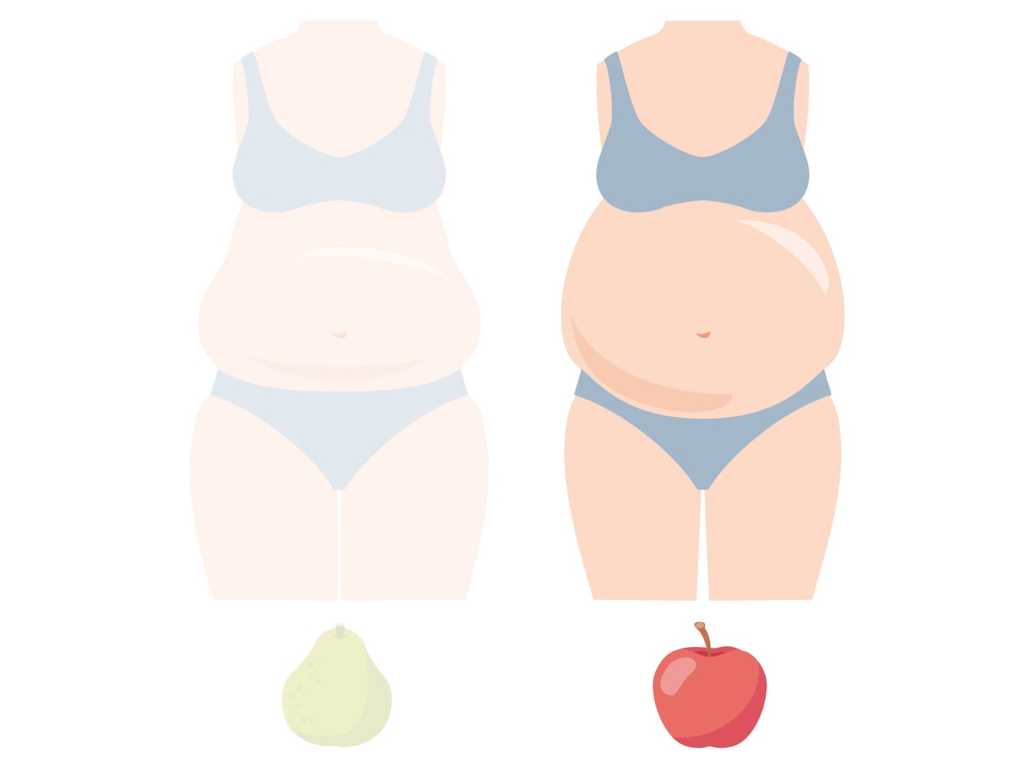 内臓脂肪型肥満（リンゴ体型）・皮下脂肪型肥満（洋なし体型）の女性のイメージ