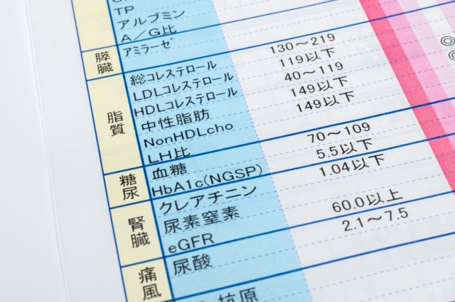 健康診断結果の用紙（体組成・BMI・血圧・コレステロール値など生活習慣病の指標となる数値が載っているもの）