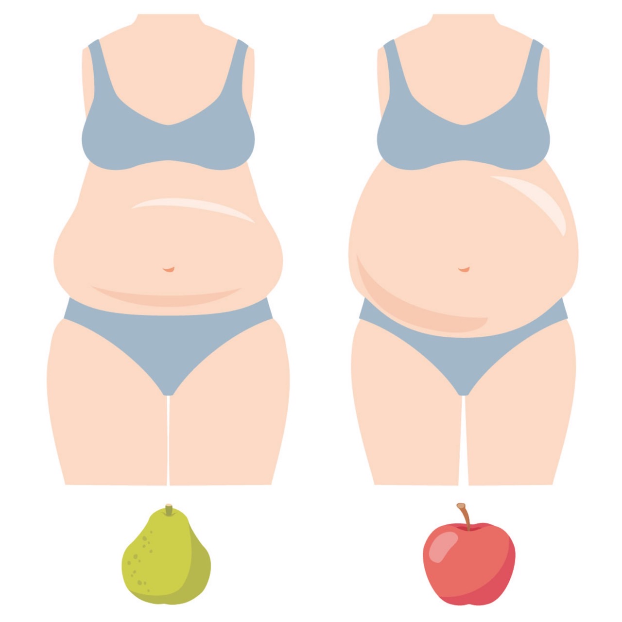 内臓脂肪（りんご体型）と皮下脂肪（洋梨体型）の見た目や特徴の違いについて