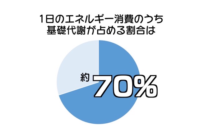 基礎代謝は1日のエネルギー消費の60～70％を占めています。