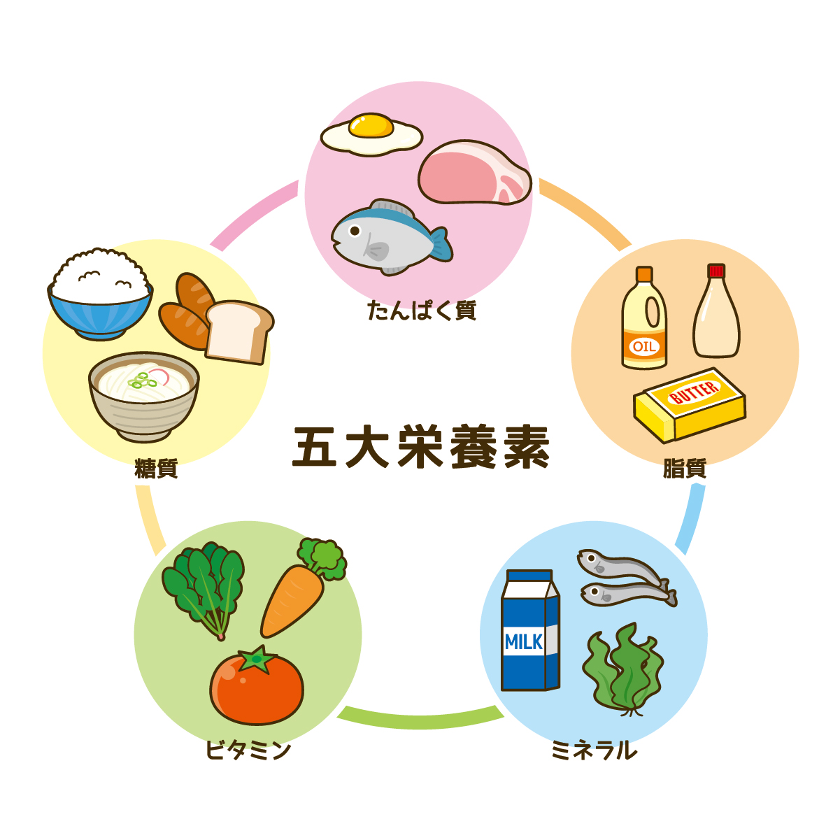 栄養素（肉や魚卵などに多く含まれるたんぱく質・糖質や食物繊維などの炭水化物・ビタミンなど）