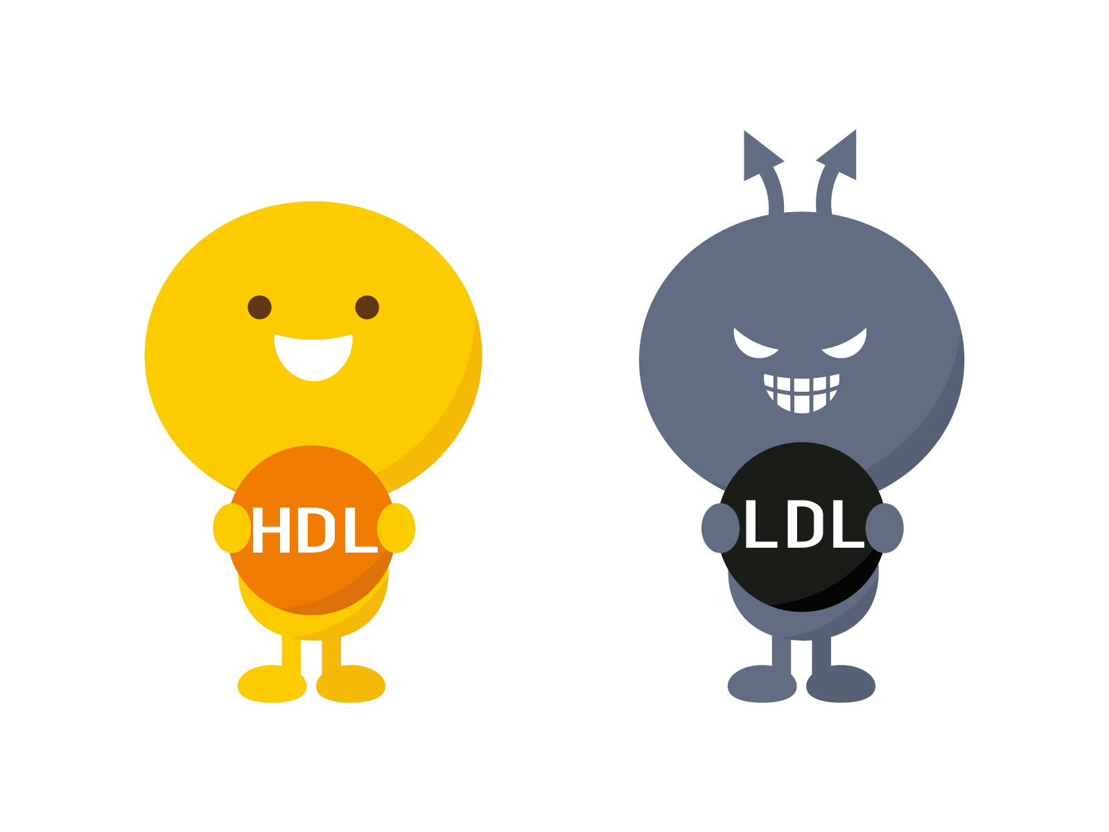 悪玉（LDL）コレステロールと善玉（HDL）コレステロール