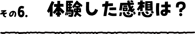 その6. 体験した感想は?